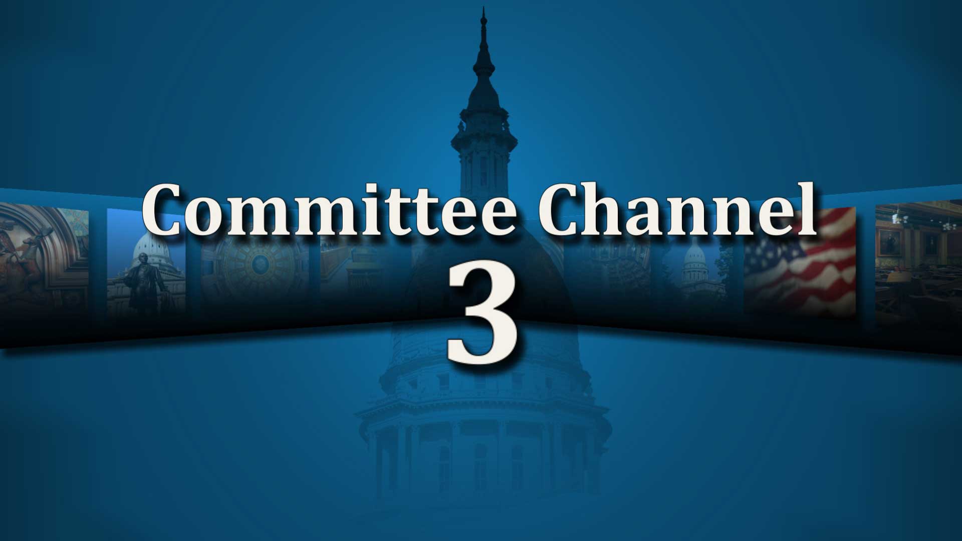 House Committee 3