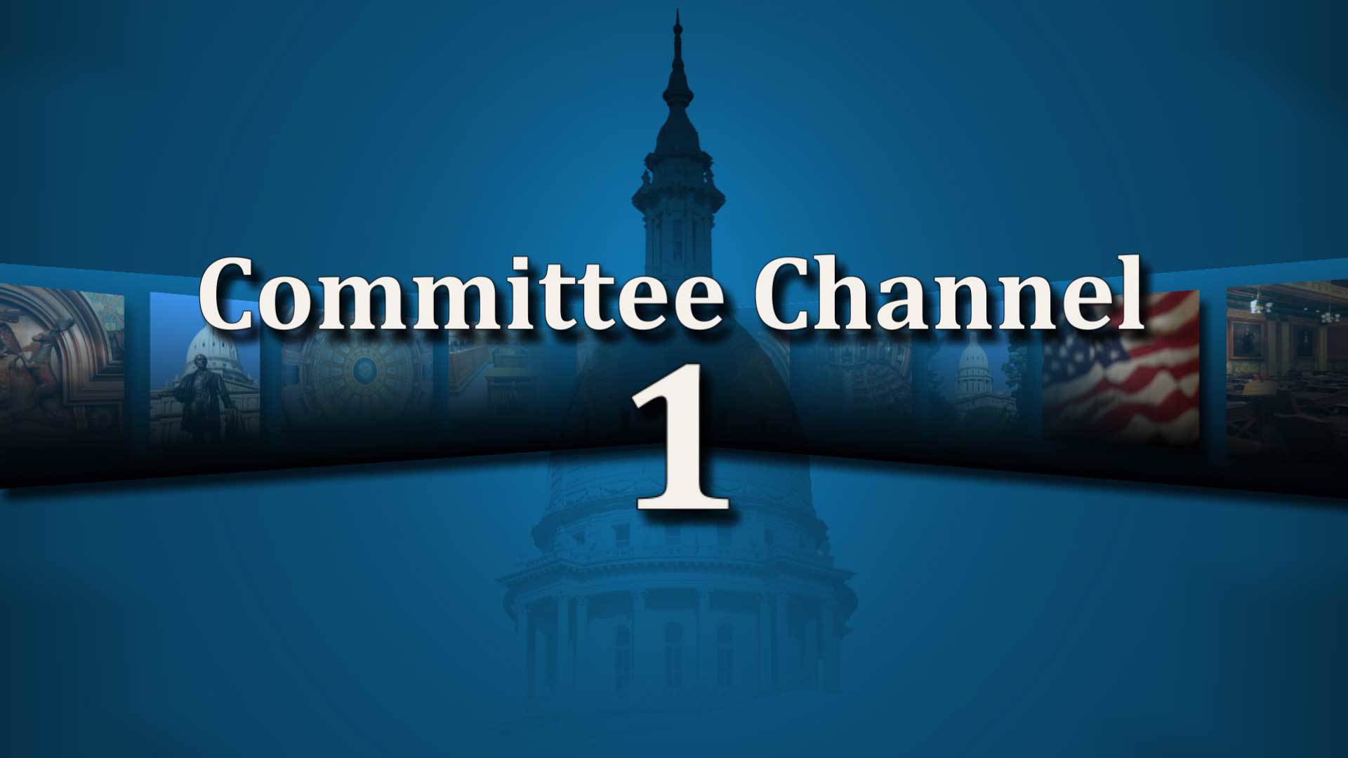 House Committee 1
